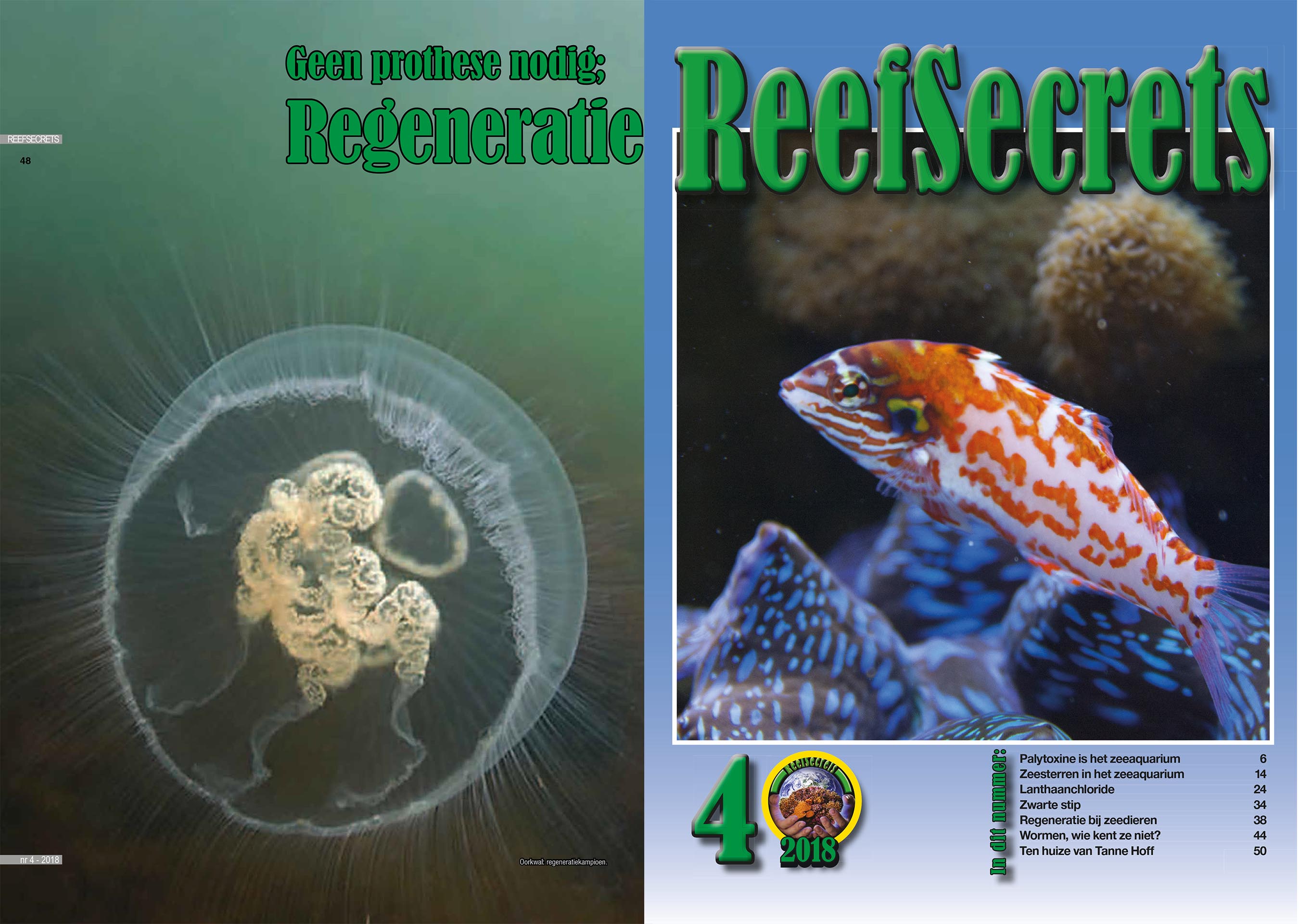 reefsecrets